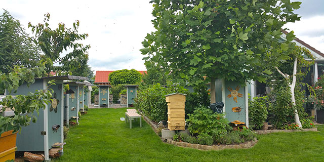 Bienenhaeuschen im Garten