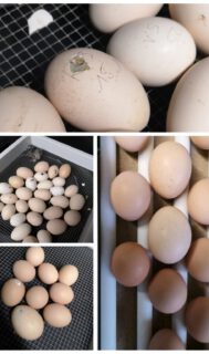 2020-02-11-09-51-25-986