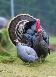 2024-03-01-14-54-30-538