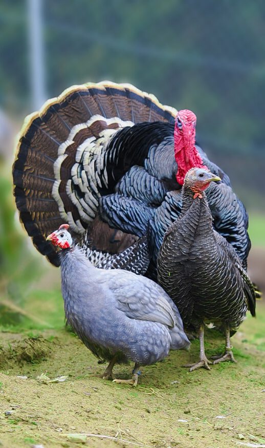 2024-03-01-14-54-30-538