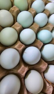 2024-04-01-08-53-34-348