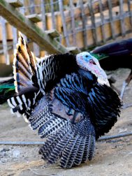 2025-04-12-16-41-13-469