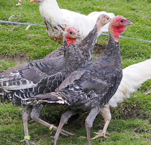 2025-09-13-20-13-19-052