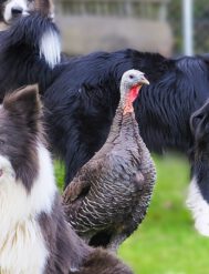 2025-09-13-20-16-24-583