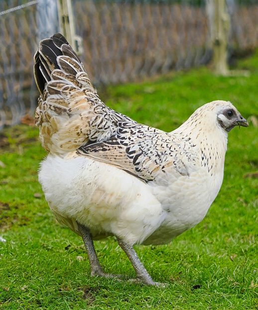 2025-09-13-20-21-53-262