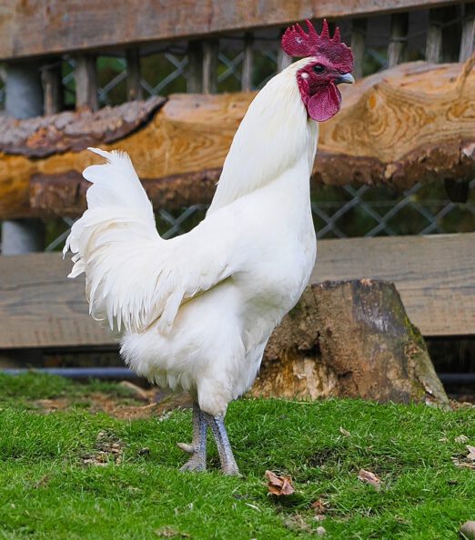 2025-09-13-20-23-16-371