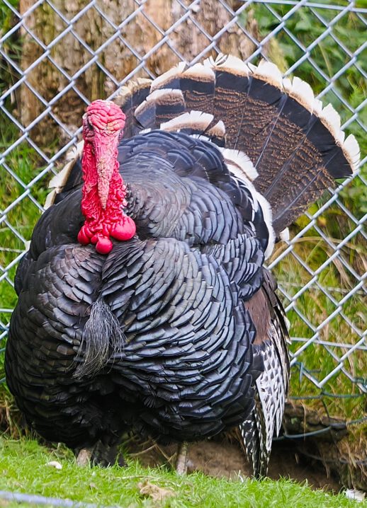 2025-09-13-20-26-48-285