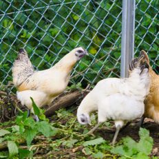 2025-09-13-20-30-41-874