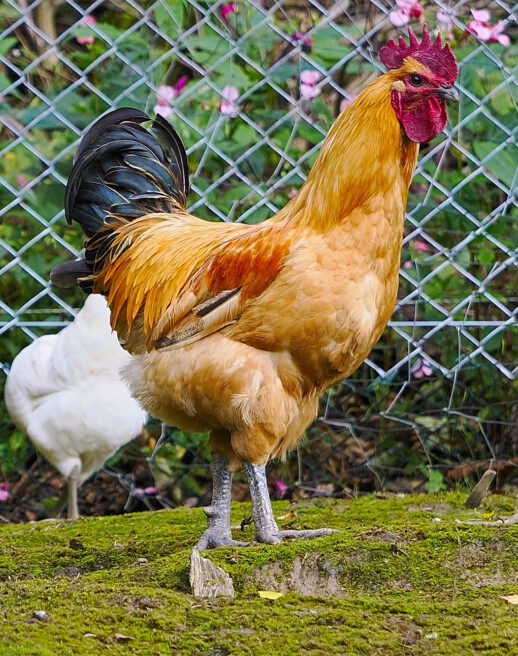 2025-09-13-20-32-36-796