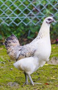 2025-09-13-20-33-15-603