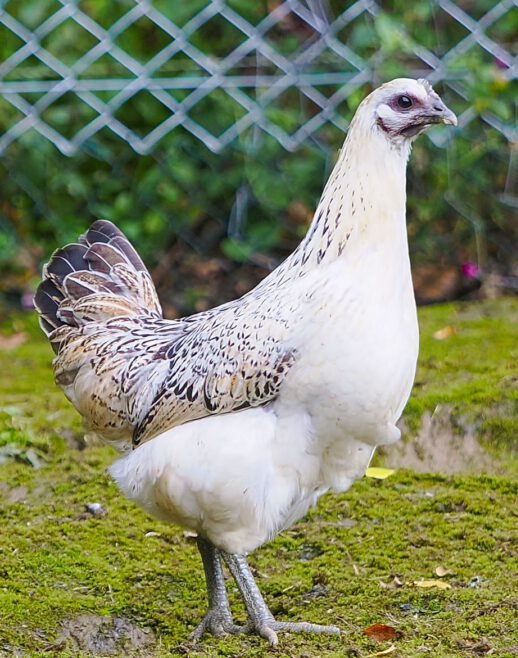 2025-09-13-20-33-15-603