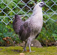 2025-09-13-20-33-53-409