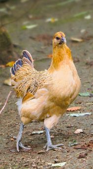 2025-09-13-20-34-44-757