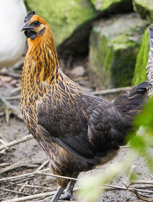 2025-09-13-20-35-30-888