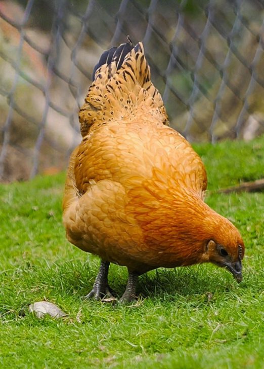 2025-09-13-20-39-16-002